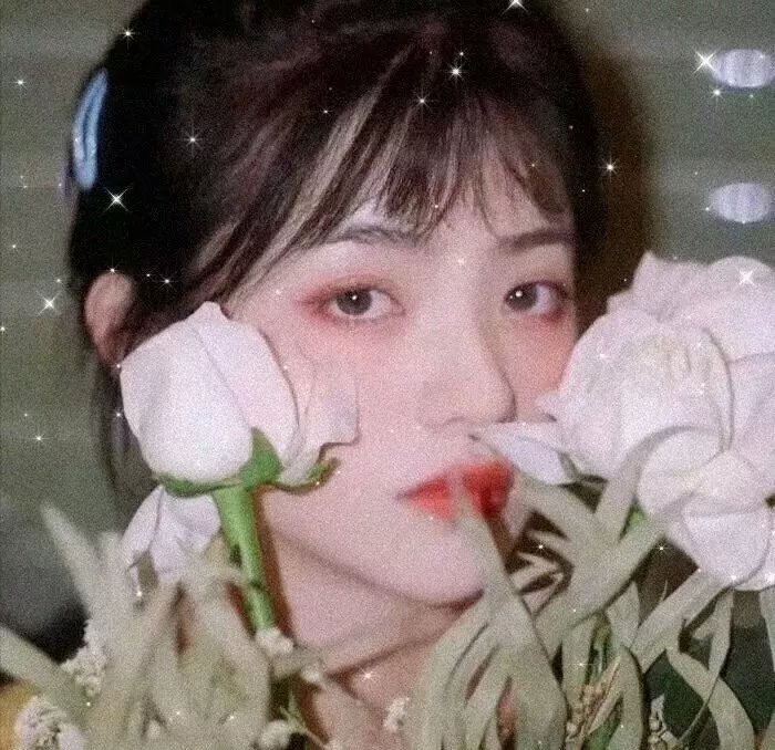 调香师第二季